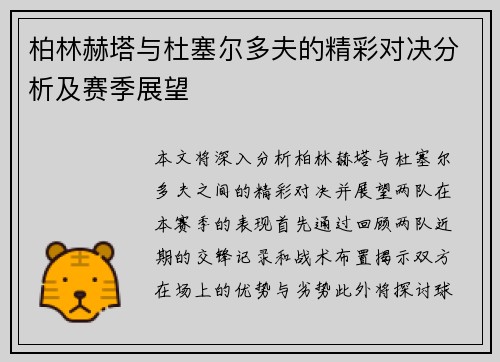 柏林赫塔与杜塞尔多夫的精彩对决分析及赛季展望