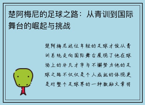 楚阿梅尼的足球之路：从青训到国际舞台的崛起与挑战