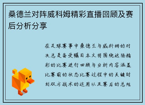 桑德兰对阵威科姆精彩直播回顾及赛后分析分享