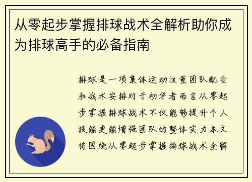 从零起步掌握排球战术全解析助你成为排球高手的必备指南