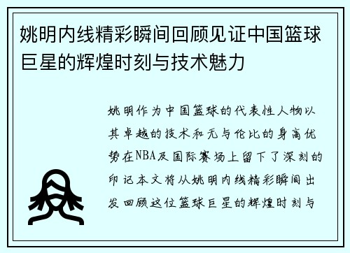 姚明内线精彩瞬间回顾见证中国篮球巨星的辉煌时刻与技术魅力